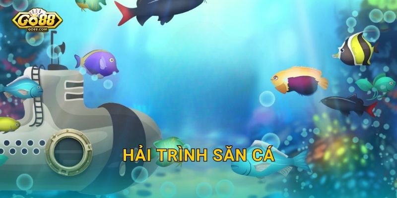 Hải Trình Săn Cá Go88 SH – Dong Thuyền Ra Khơi Chinh Phục Muôn Loài Cá Quý 1 Hải Trình Săn Cá Go88 SH – Dong Thuyền Ra Khơi Chinh Phục Muôn Loài Cá Quý